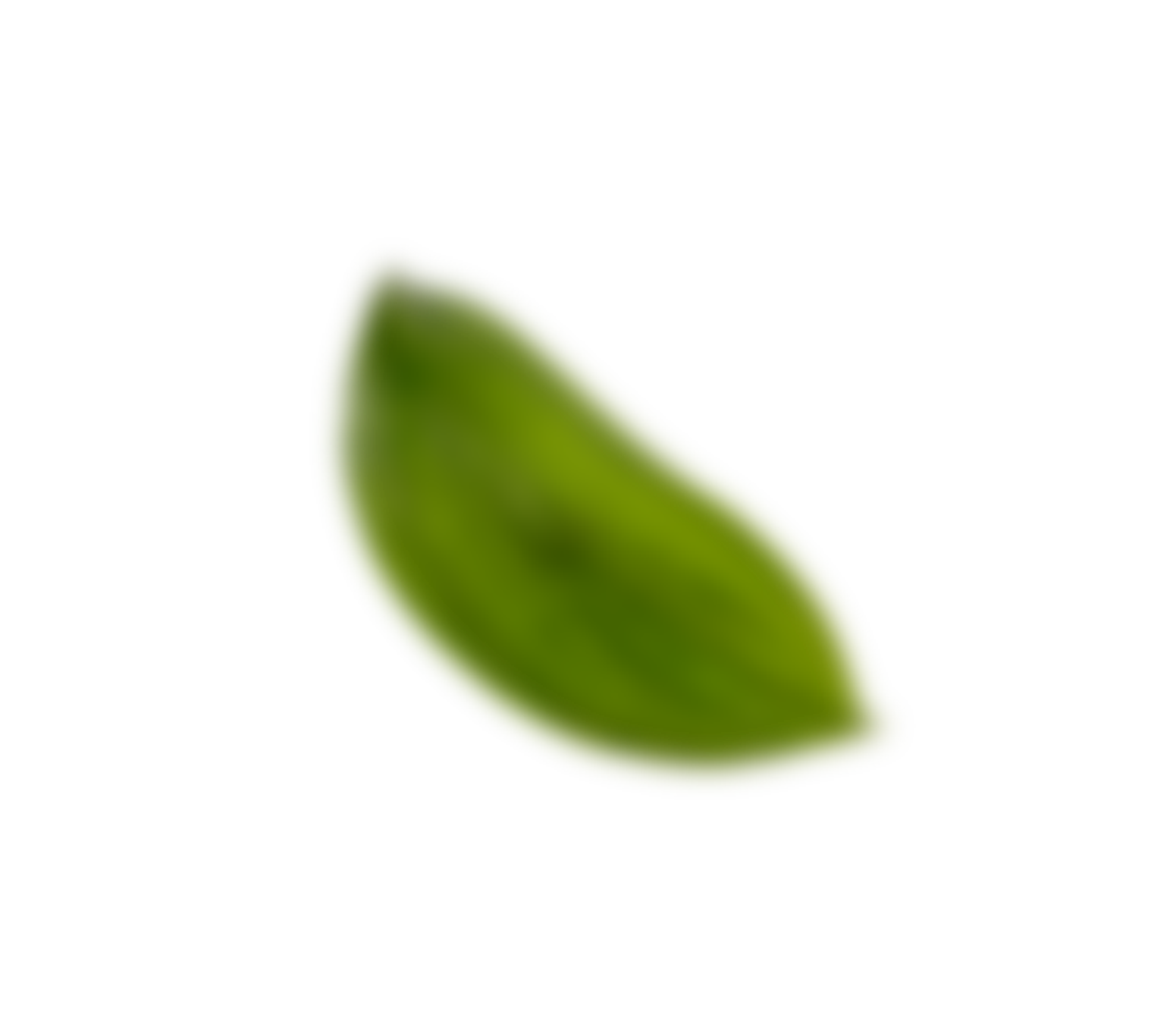 Eco Plate