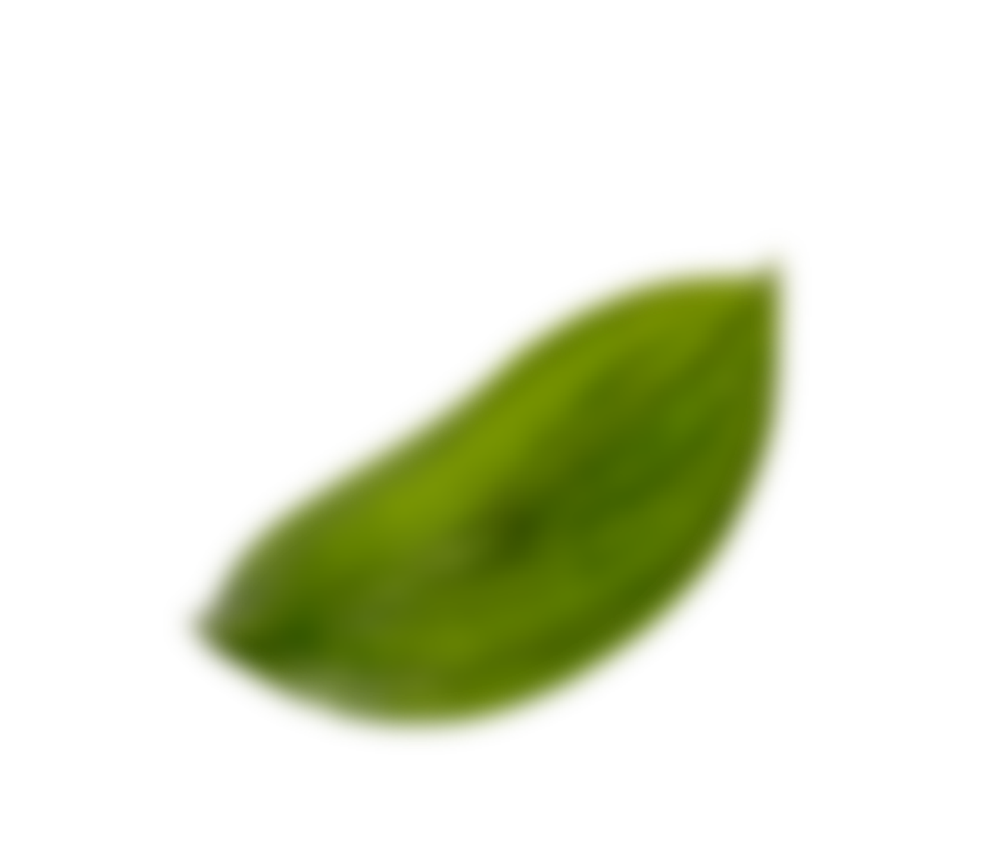 Eco Bowl
